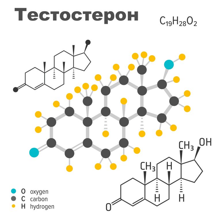 тестостерон