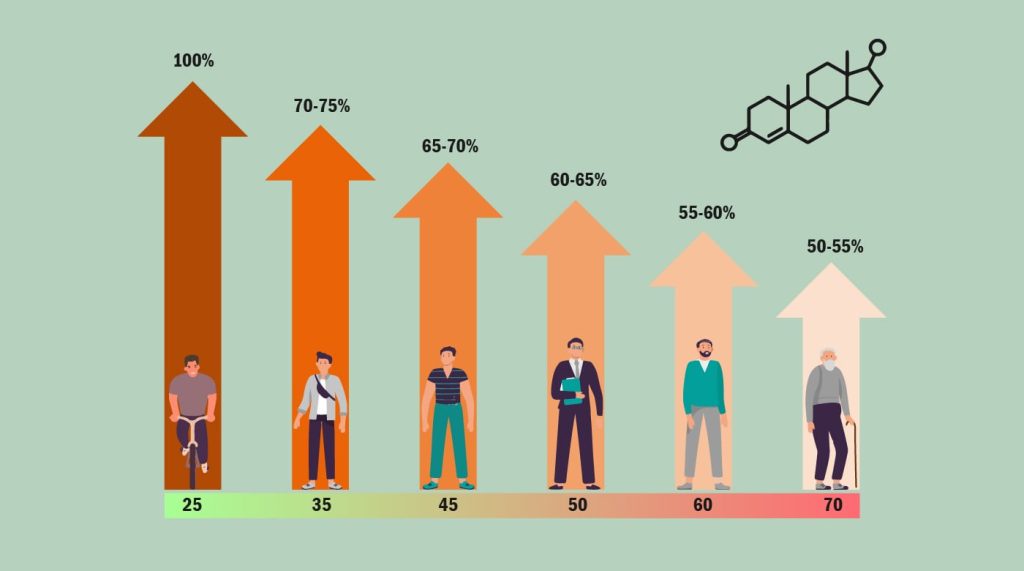 норма тестостерону